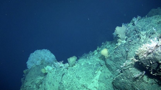 Montanha submarina no Oceano Atlntico tem tesouro de terras raras