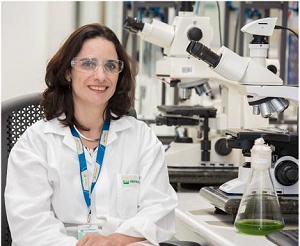 Petrobras estuda produo de biocombustveis a partir de microalgas