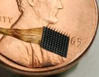 Comeam testes com chip implantado no crebro