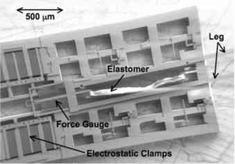 Micro-robs que saltam como pulgas funcionaro como sensores ambientais
