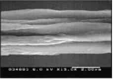 Msculos artificiais so feitos com fibras que imitam msculos humanos