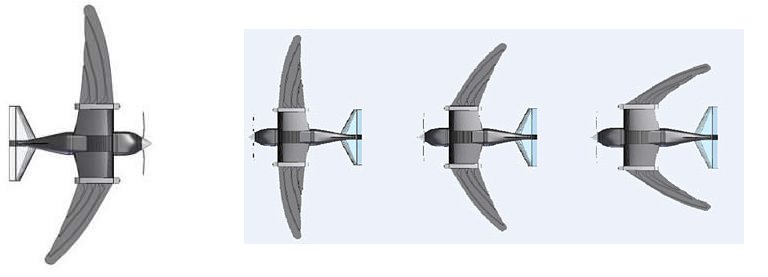 Pssaro-rob tem asas capazes de se ajustar como as das aves