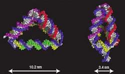 Motores moleculares de DNA vo impulsionar nanorrobs