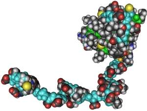 DNA motorizado viabiliza experimentos moleculares autnomos