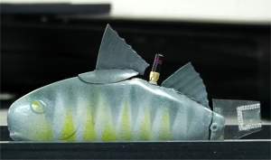 Peixes-robs so projetados para monitorar qualidade da gua
