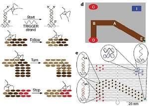 Nanorrob feito de DNA d os primeiros passos
