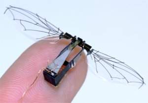 Microrrobs voadores no precisam imitar complexidade do voo dos insetos