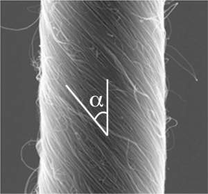 Músculo artificial de nanotubos de carbono equipara-se a motores elétricos