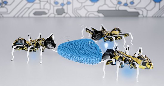 Formigas binicas testam conceitos para fbrica do futuro