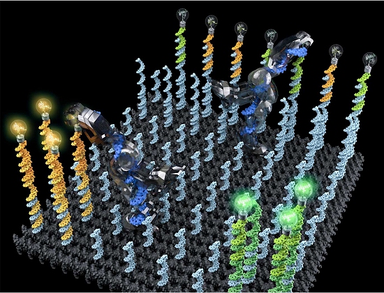 Nanorrob de DNA encontra sua carga e a leva at o destino