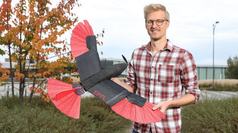 Drone-pssaro imita falco ajustando asas e cauda