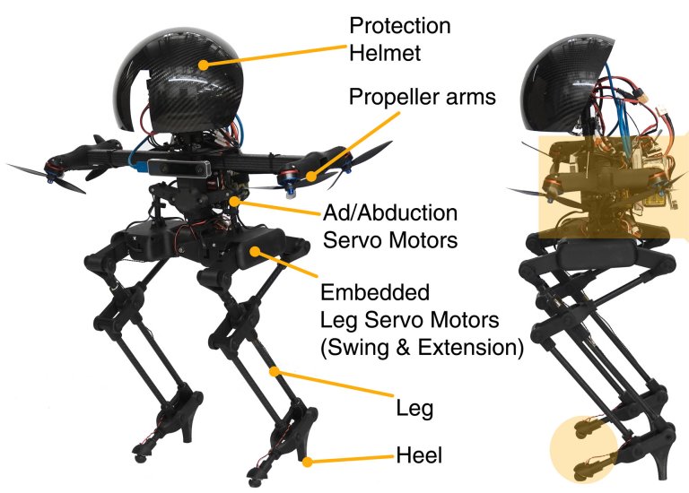 Leonardo, um drone com pernas que escolhe entre andar e voar