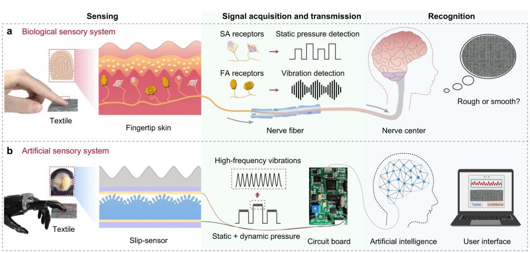 Tato robtico: Sensor identifica textura de tecidos como uma mo humana