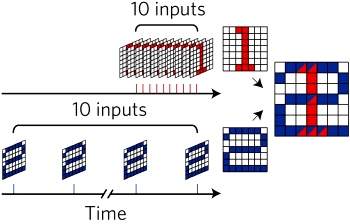 Circuito sináptico memoriza e esquece como o cérebro