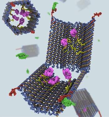 Nanorrobs de DNA do primeiros passos rumo  luz