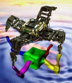 Rob Cientista 2: novo rob poder descobrir leis fundamentais da fsica