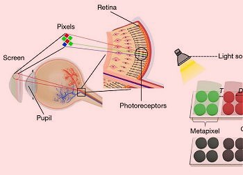 Pxel atinge maior resoluo possvel para o olho humano