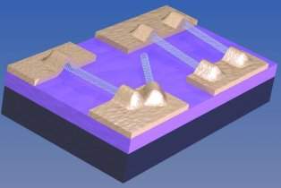 Nova tcnica produz circuitos eletrnicos de nanotubos de carbono
