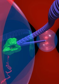 Novo microscpio v molcula em movimento com preciso atmica