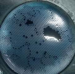 Biochip utiliza bolhas minsculas como bits