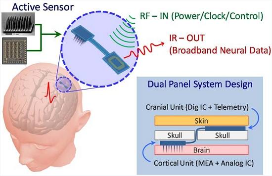 Interface crebro-computador ser testada em voluntrios