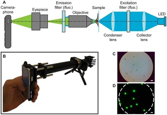Celular vira microscpio capaz de detectar doenas