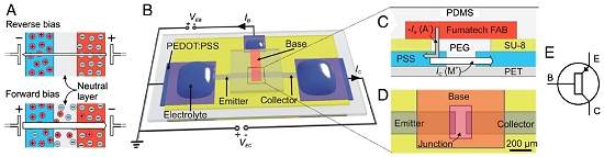 Neurnios so controlados eletronicamente com transstor inico