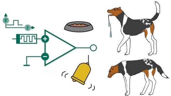 Cão de Pavlov eletrônico: computadores podem aprender