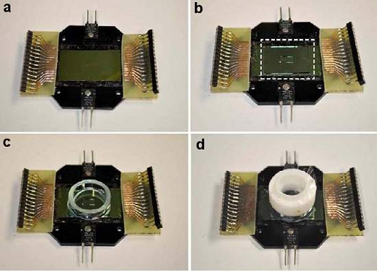 Tecidos ciborgues misturam biolgico e eletrnico