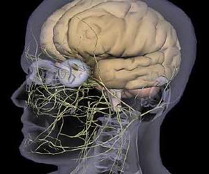 Implante neural funcionará como bluetooth do cérebro