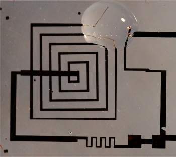 Circuitos eletrnicos biodegradveis so reabsorvidos pelo corpo
