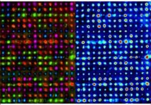 Memria ptica 5D promete guardar dados para sempre