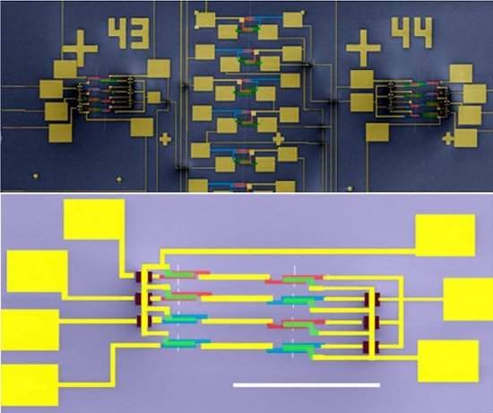 Nanocircuito integrado usa transistores em nanotubos individuais