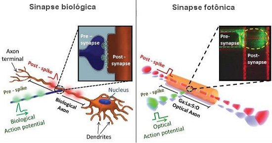 Crebro artificial de luz com neurnios fotnicos