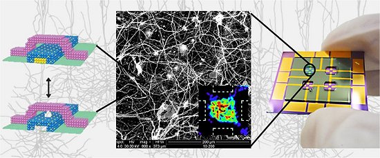 Nanoestrutura apresenta comportamento computacional emergente