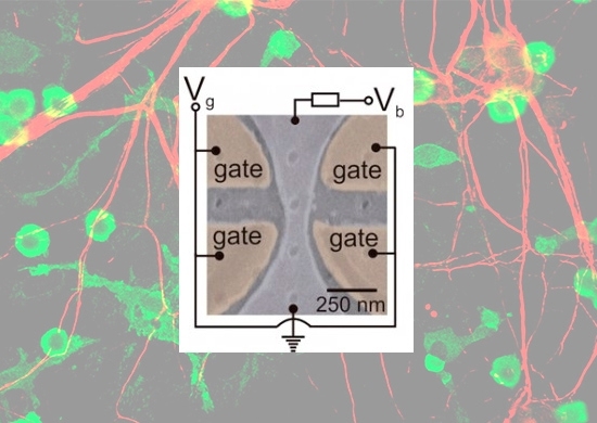 Transístor optoeletrônico imita neurônio e tem sua própria memória