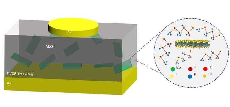 A broader bandwidth for electrical devices