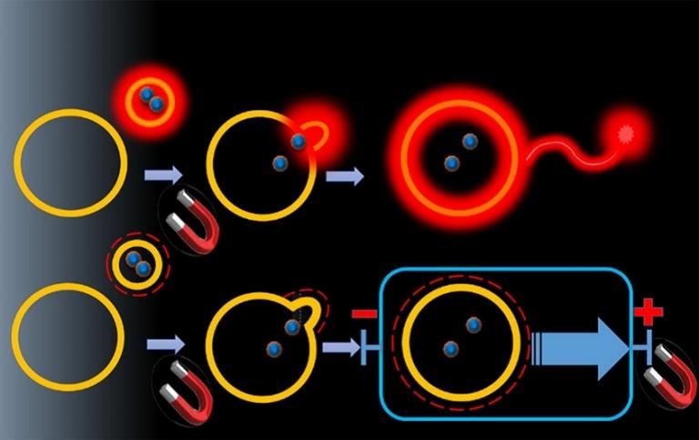 Brasileiros criam bits químicos que trocam sinais luminosos ou elétricos