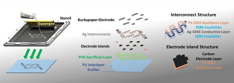 Bioclula gera eletricidade usando seu suor como combustvel