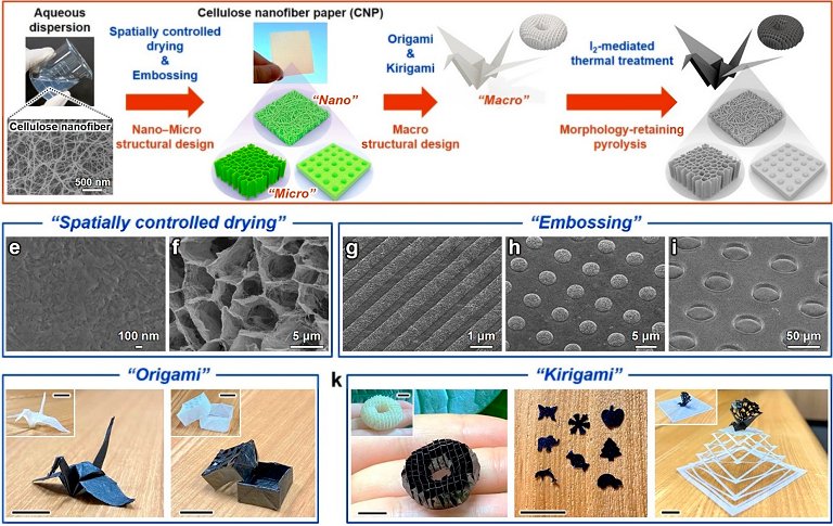 Eletrnicos que crescem em rvores: Semicondutores funcionais so feitos de madeira