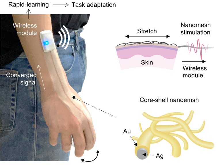 Pele eletrônica borrifada na pele entende todos os seus gestos - Site Inovação Tecnológica