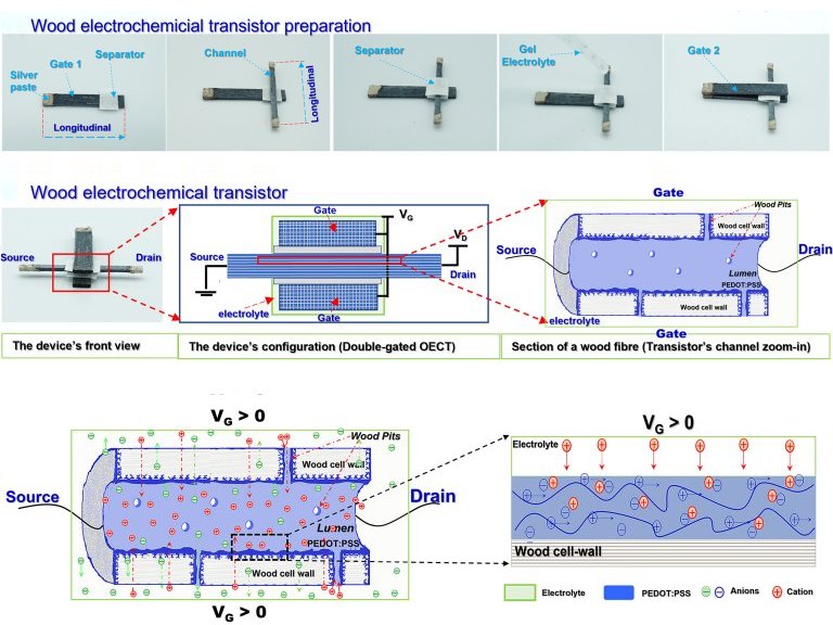 Transstor de madeira levar eletrnica para rvores e agricultura