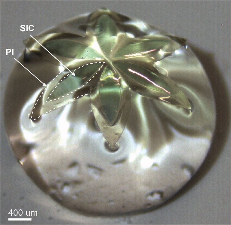 Semicondutores 3D flexveis controlaro rgos vivos dentro de chips