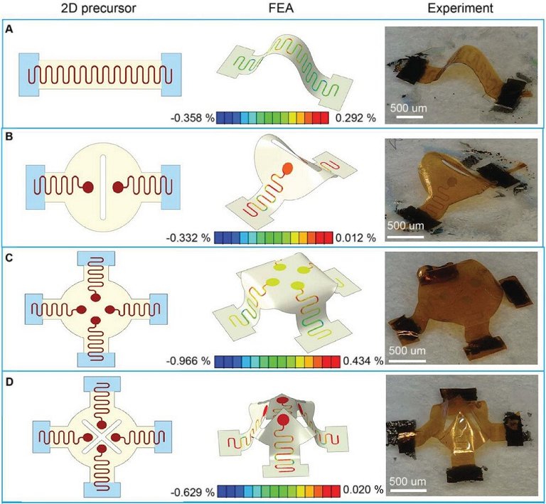 Semicondutores 3D flexveis controlaro rgos vivos dentro de chips