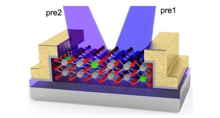 Chip neuromrfico imita retina e crebro juntos