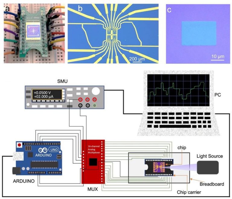 Chip neuromrfico imita retina e crebro juntos