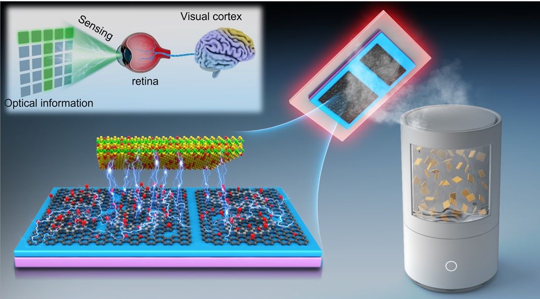 Superneurnio artificial faz tudo, da deteco da luz ao processamento por IA