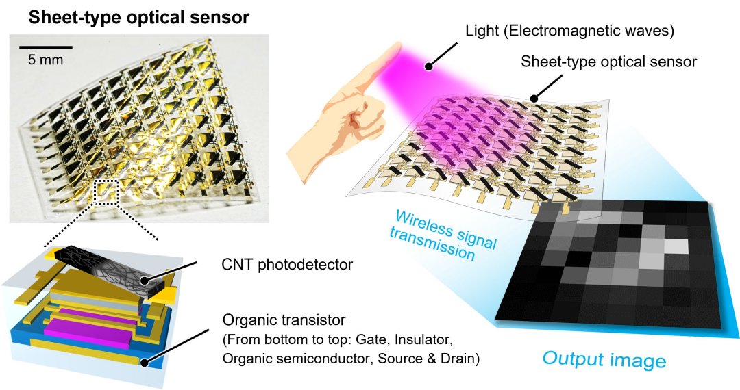 Novas maneiras de detectar a luz com eletrônica orgânica