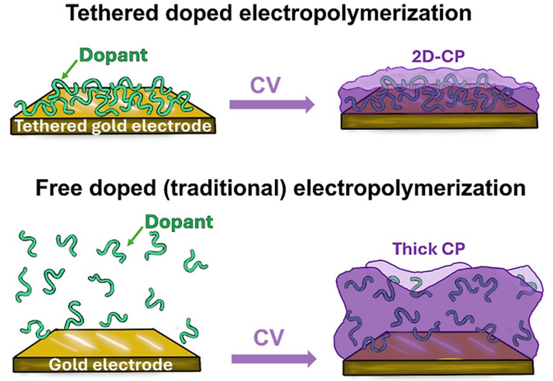 Brasileira cria material invisível para tecnologias inteligentes