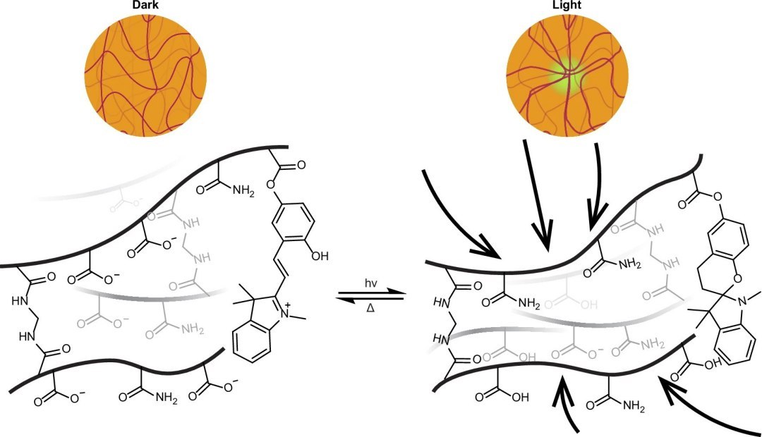 Porta lógica de luz é construída em